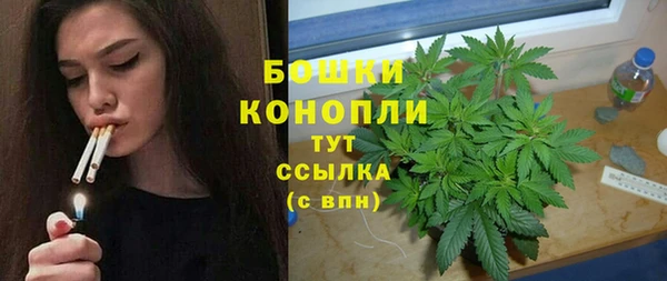 меф Дмитриев