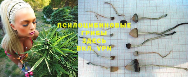 MESCALINE Дмитров